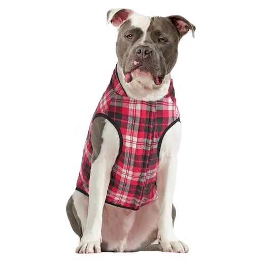 Canada Pooch Reversible Vest Black/Plaid