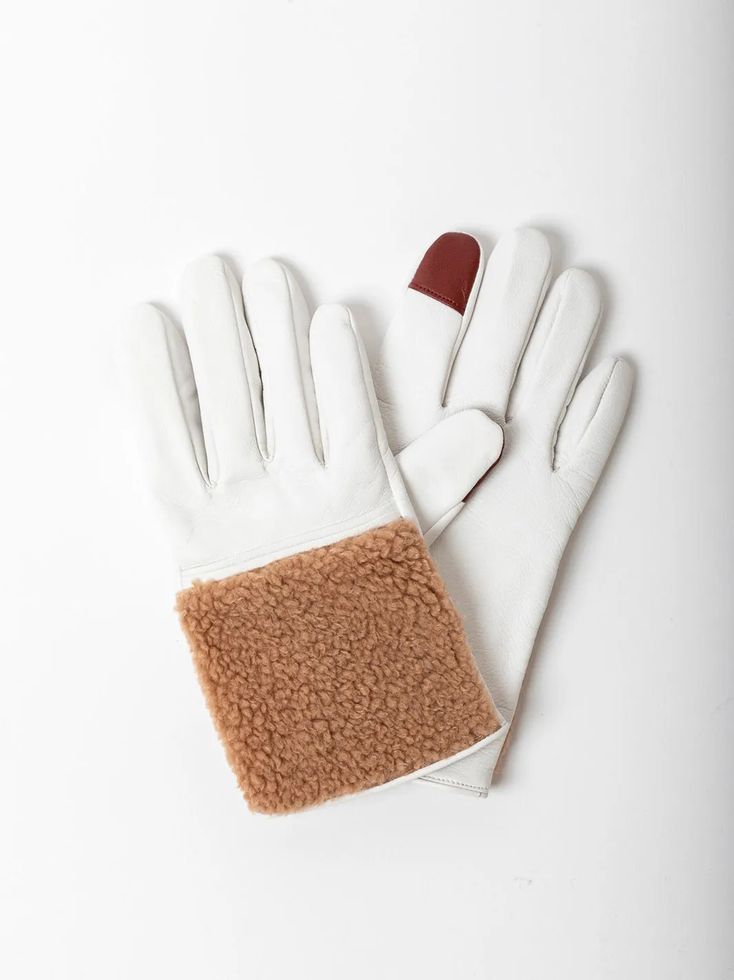 Leather and Shearling Gloves