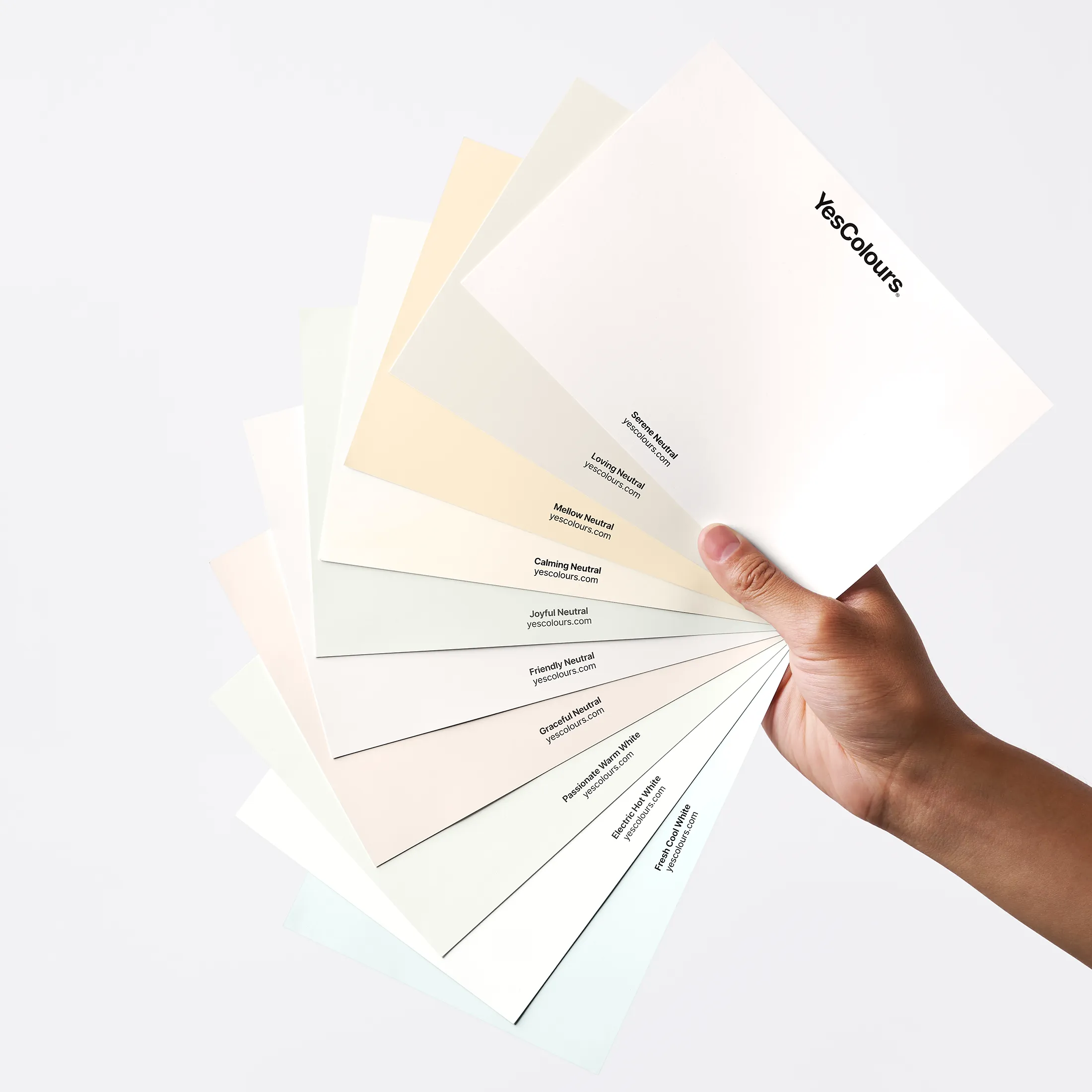 Neutral / Whites paint swatch bundle