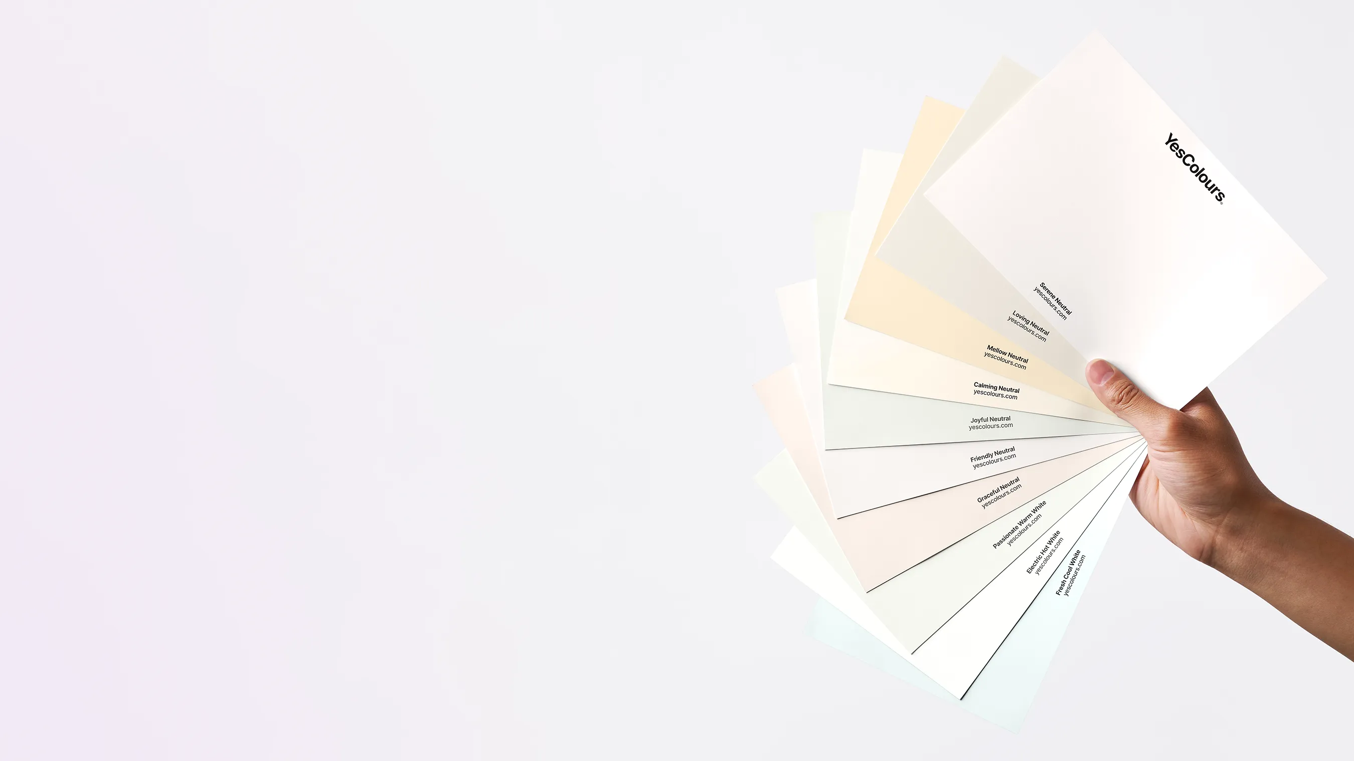 Neutral / Whites paint swatch bundle