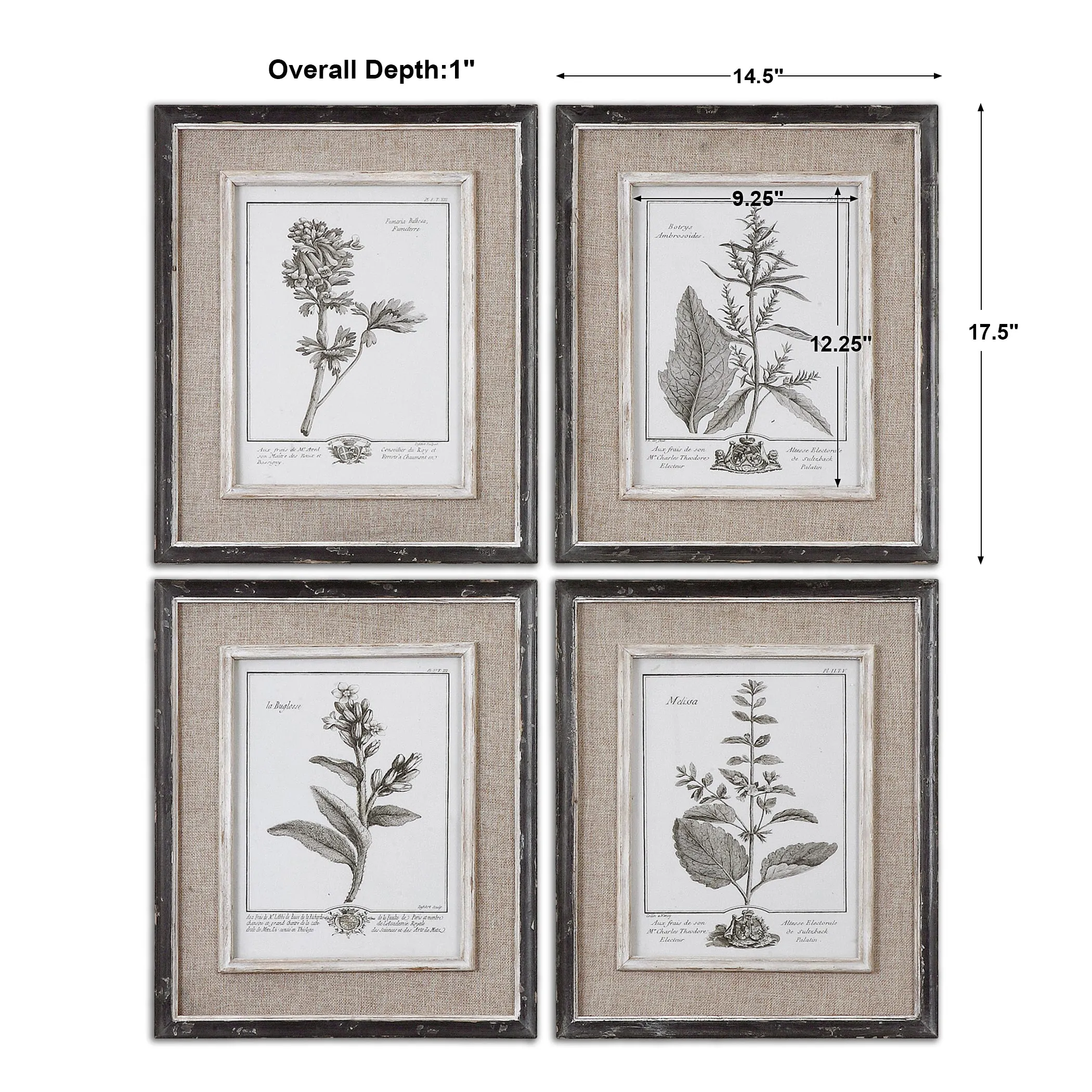 Uttermost Casual Grey Study Framed Art Set/4